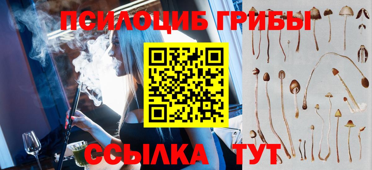 Псилоцибиновые грибы Cubensis  Псилоцибиновые грибы прущие грибы  Сызрань  Вход с VPN 